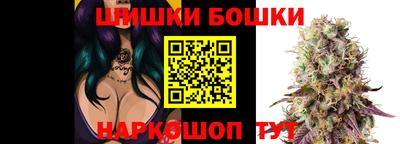 индика Аргун