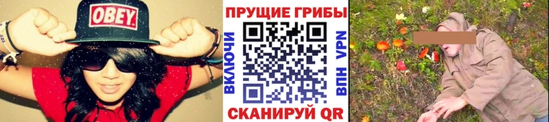 omg вход  Бахчисарай  Псилоцибиновые грибы MAGIC MUSHROOMS 