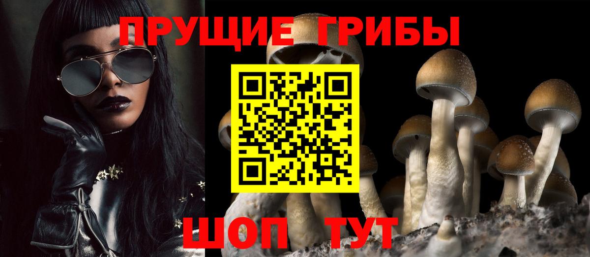 Галлюциногенные грибы Psilocybe Бахчисарай